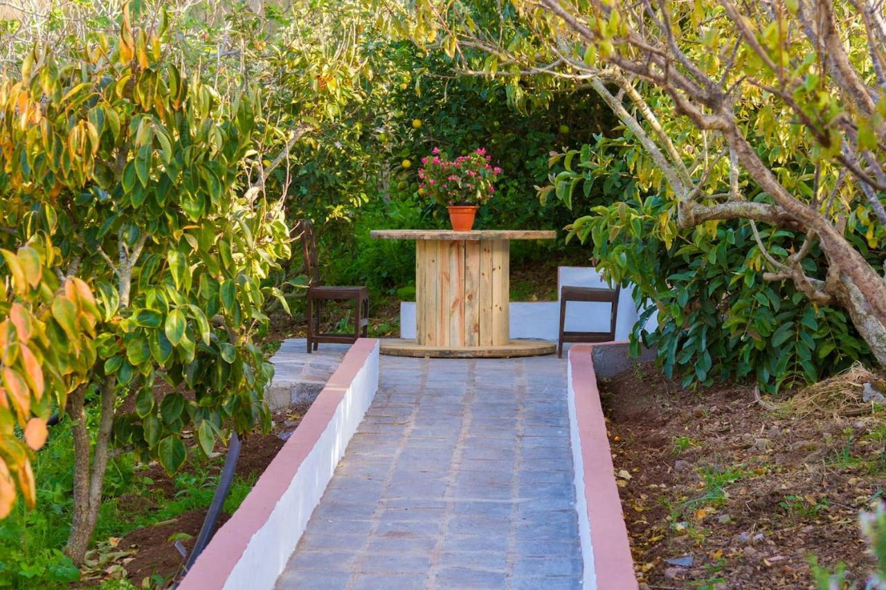 Casa Cueva Villa Aday Santa Maria de Guia de Gran Canaria エクステリア 写真