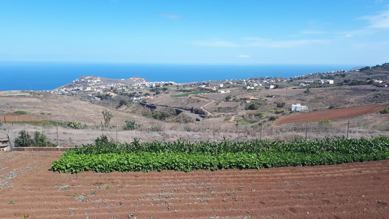 Casa Cueva Villa Aday Santa Maria de Guia de Gran Canaria エクステリア 写真