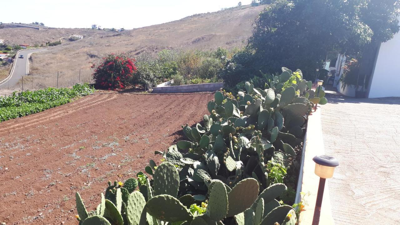 Casa Cueva Villa Aday Santa Maria de Guia de Gran Canaria エクステリア 写真